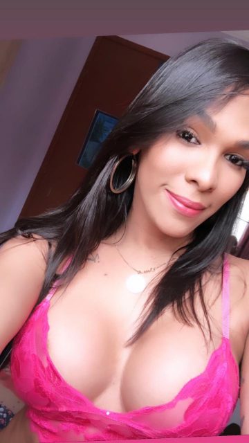 Priscila Gatíssima 333