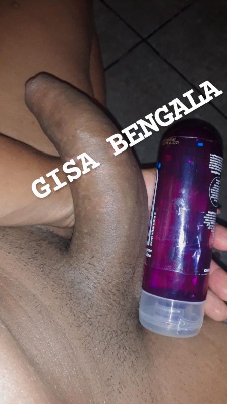 Gisa Bengala 14